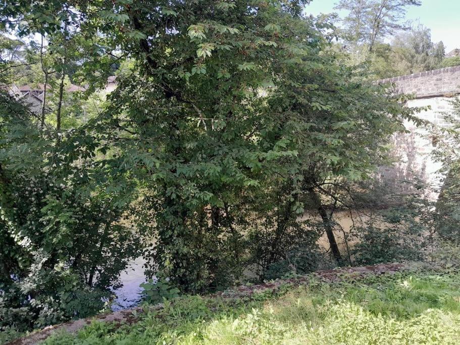 Le Refuge Du Cele Studio Paisible Jardin Et Riviere Figeac Bagian luar foto